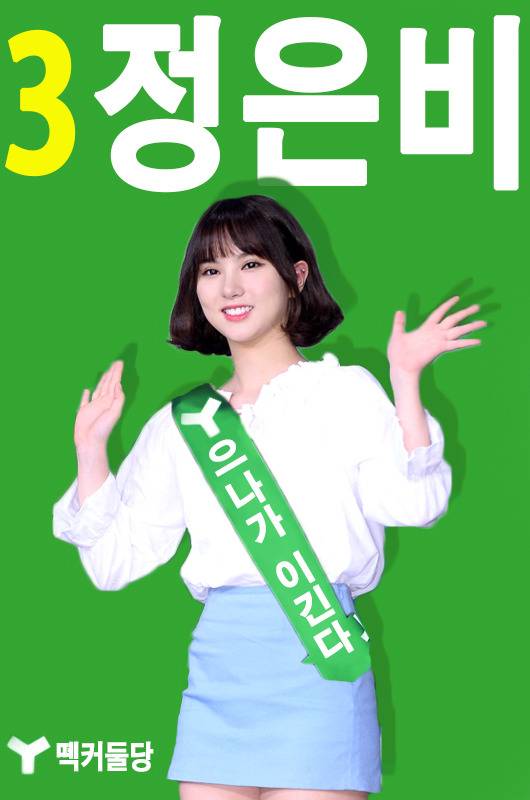 아이돌 갤러리 대선시즌때면 하는거 .jpg | 인스티즈