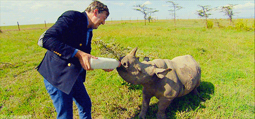 생각보다 귀여운 동물.gif | 인스티즈