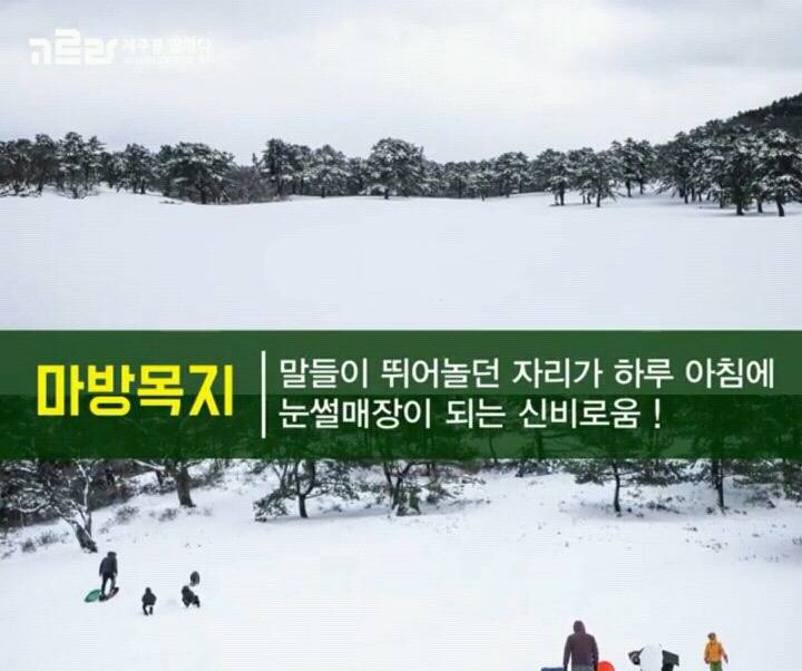 제주 겨울 여행지 12.jpg | 인스티즈