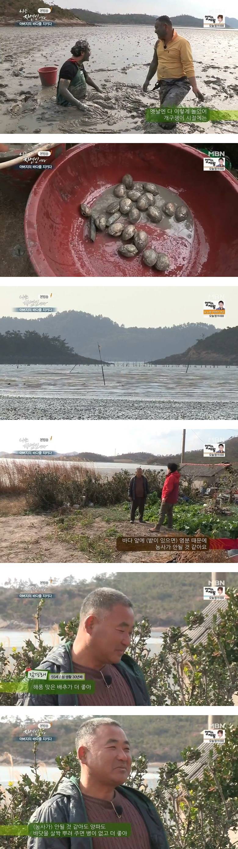 나는 자연인이다 - 아버지의 바다를 지키다 - | 인스티즈