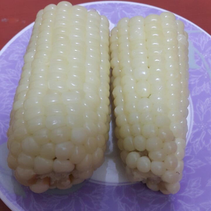 밥을 하는 중이라 | 인스티즈