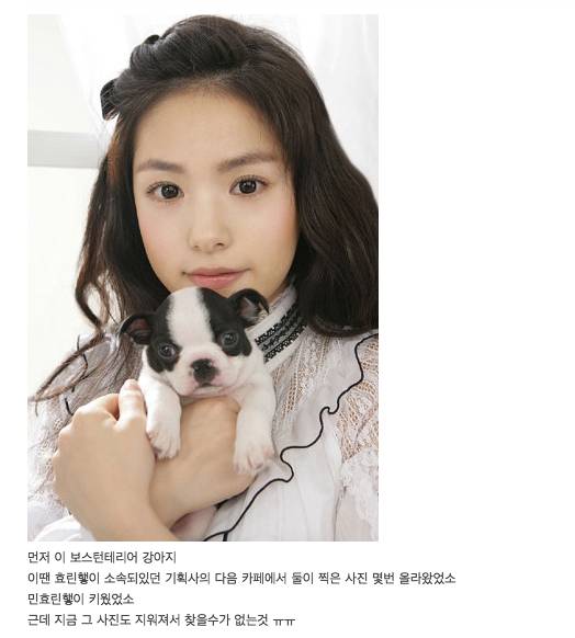 악플 엄청 받고 있는 민효린 반려 동물 사건 정리 글.......jpg | 인스티즈