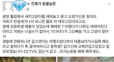 고양이 산채로 불태워 죽인 중딩들 | 인스티즈