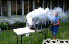 화이트 블로우 | 인스티즈