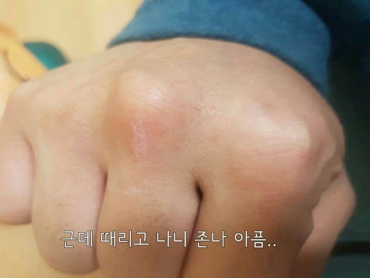 느그훈을 때려보자 (feat.맨손) | 인스티즈