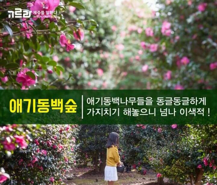 제주 겨울 여행지 12.jpg | 인스티즈