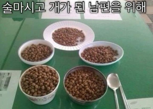 여러가지 성향의 남편을 위한 밥상 | 인스티즈