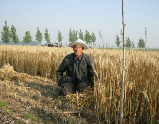 낫 놓고 | 인스티즈