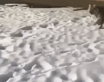 언 놈이여? 죽고 싶은 겨? | 인스티즈