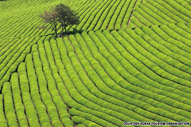 대한민국에서 가장 사진이 잘 받는 아름다운 관광명소 Top22 | 인스티즈