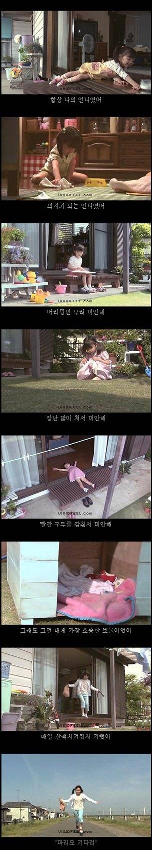 개의 일생 | 인스티즈