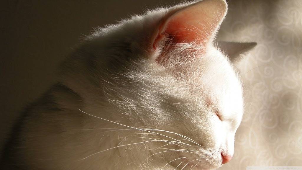 이제 자자.jpg | 인스티즈