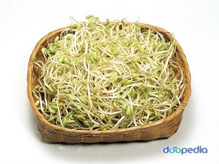 거의 한국사람들만 즐겨 먹는 채소 | 인스티즈