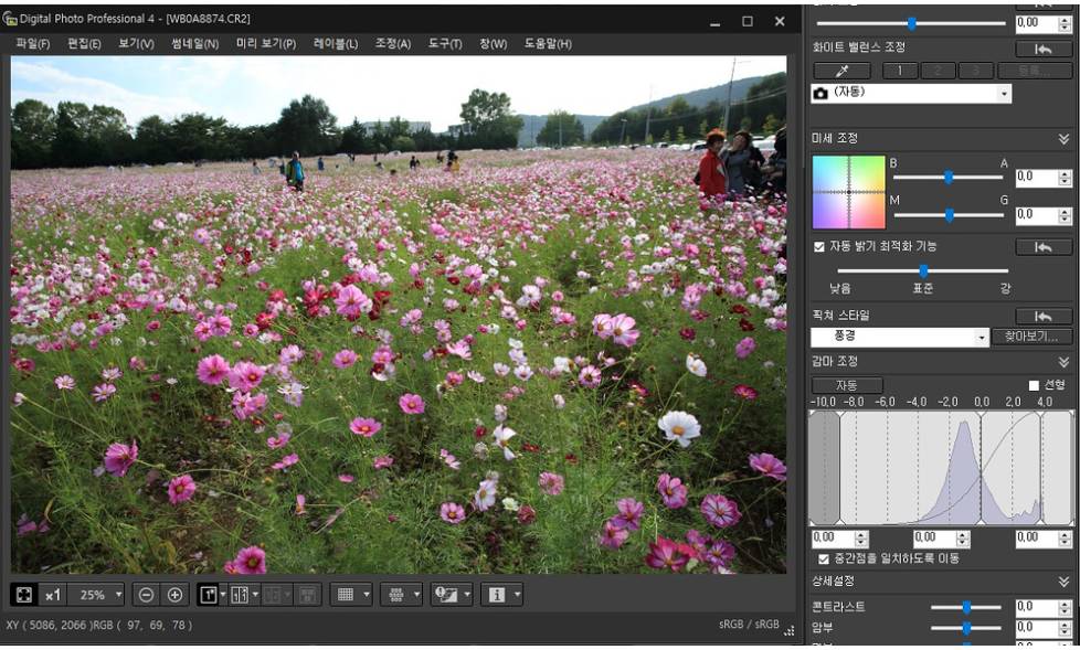 내 사진이 아쉬울때 보정하는 꿀팁!! | 인스티즈