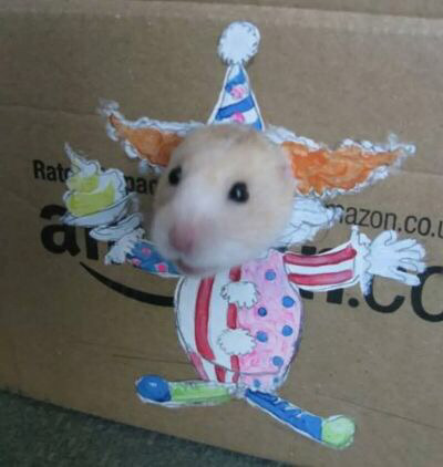 옷입는 동물들,, | 인스티즈