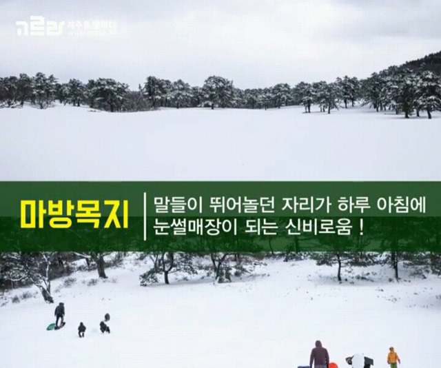 여자친구와 제주도로 여행을 떠나보자 | 인스티즈