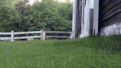 [움짤] 남초사이트에 여회원이 인증샷 올렸을때 .gif | 인스티즈