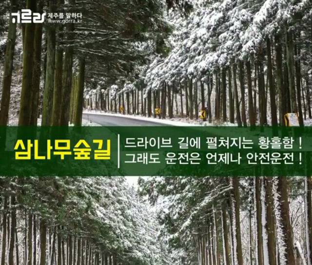 여자친구와 제주도로 여행을 떠나보자 | 인스티즈