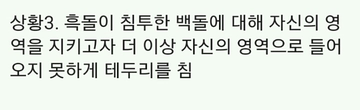 바둑을 알지 못하는 사람을 위한 오늘 이세돌의 78수 설명.jpg | 인스티즈