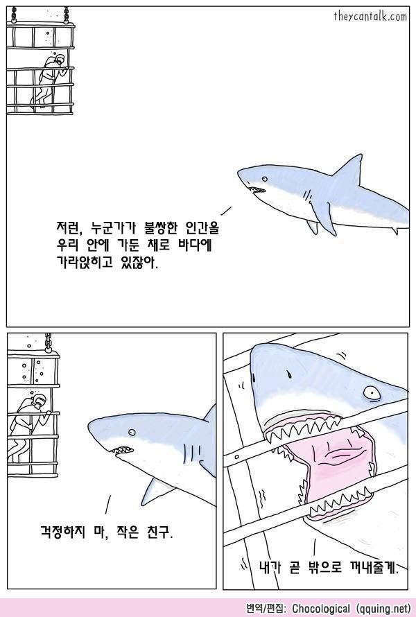 착한상어.JPG | 인스티즈
