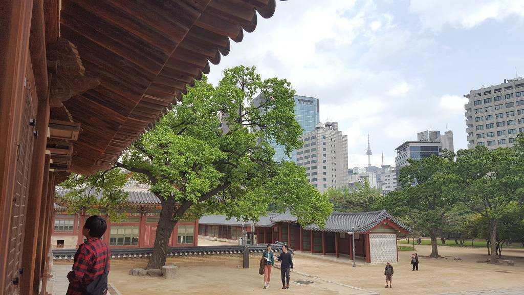 덕수궁(+광화문) | 인스티즈