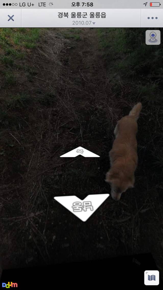 리트리버의 친화력(feat. 로드맵) | 인스티즈