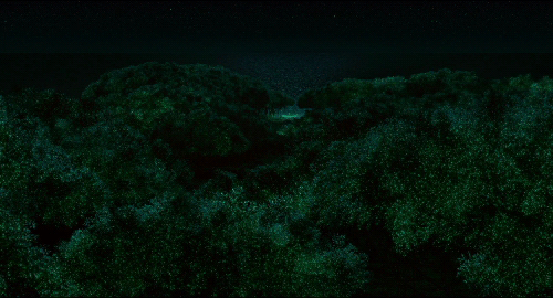 [라이프오브파이] 재개봉하면 아이맥스로 꼭 한번 다시 보고 싶은 영화.gif | 인스티즈