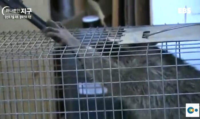 ??? = 고급스러움.JPG | 인스티즈