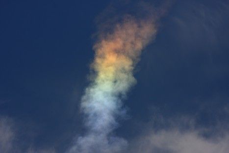 특이한 무지개들 | 인스티즈