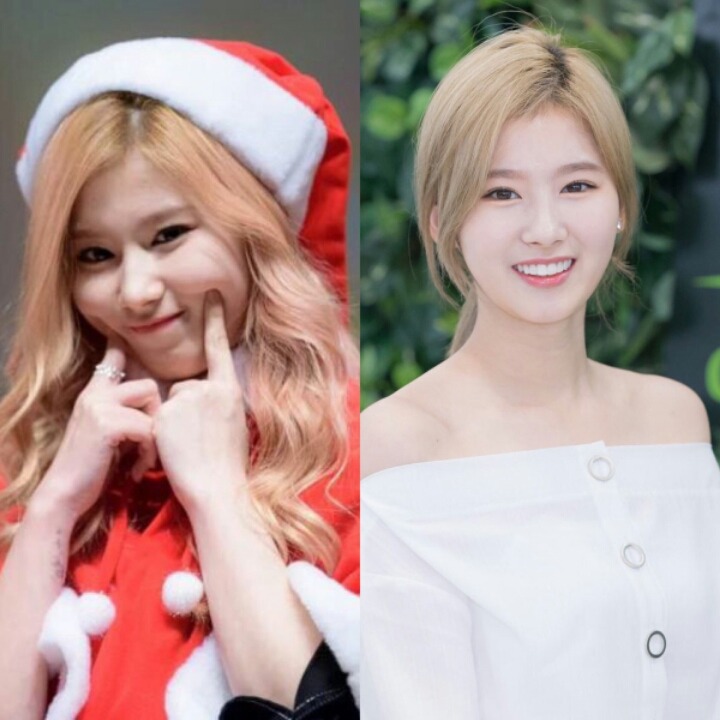 털갈이한 사나.gif | 인스티즈