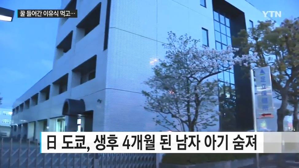 1살 미만 아이에겐 꿀을 절대 먹이면 안된다? | 인스티즈