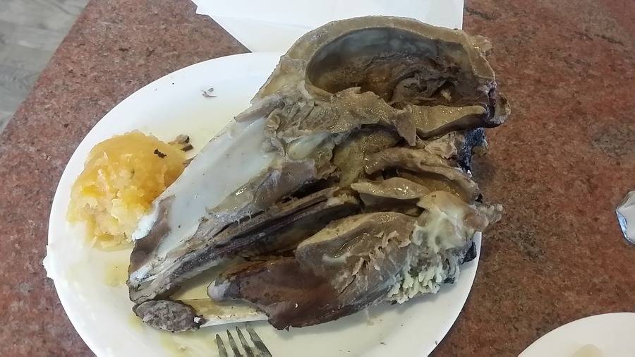 아이슬란드에서 먹은 충격적인 양머리 요리.jpg (혐오주의) | 인스티즈