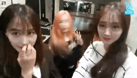 프리스틴) 동생의 짓을 외면하는 언니들에 | 인스티즈