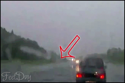 블랙박스에 찍힌 번개맞는 모녀 ㄷㄷ. gif | 인스티즈