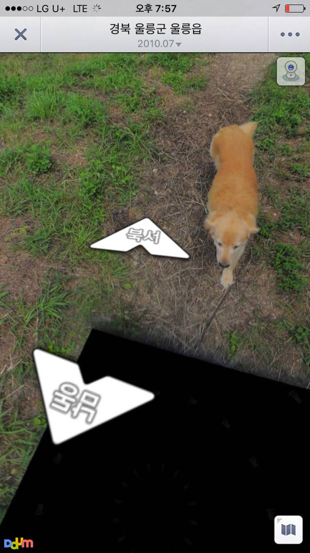 리트리버의 친화력(feat. 로드맵) | 인스티즈