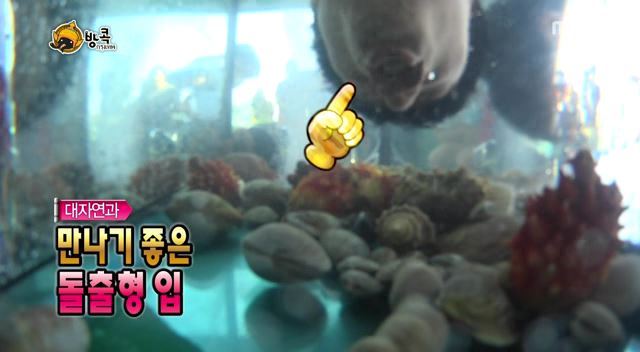 [무한도전] 나망이 배꼽잡고 웃었던 방콕특집 | 인스티즈