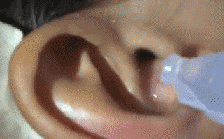 귀속에 벌레 | 인스티즈