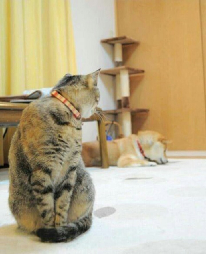 이상하게 기분이 나빠... | 인스티즈