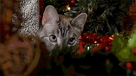 크리스마스 분위기.gif | 인스티즈