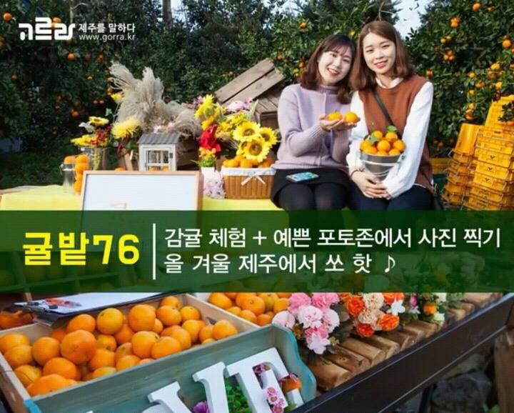 제주 겨울 여행지 12.jpg | 인스티즈