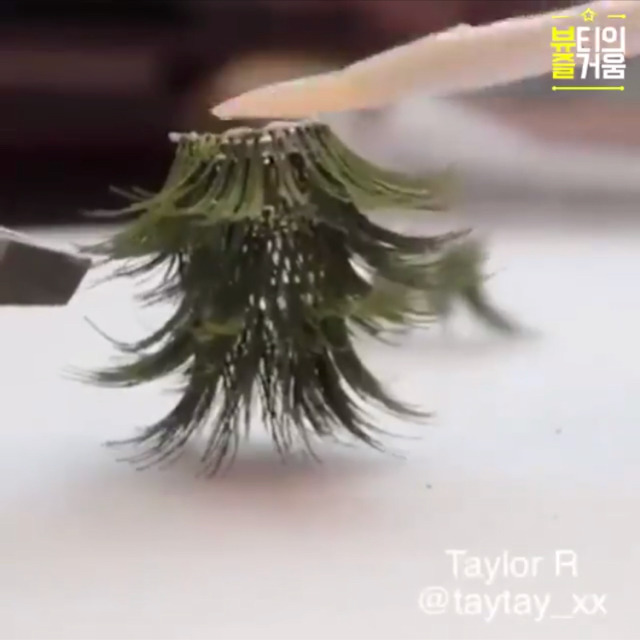 올 겨울을 강타할 크리스마스 트리 메이크업.jpg | 인스티즈