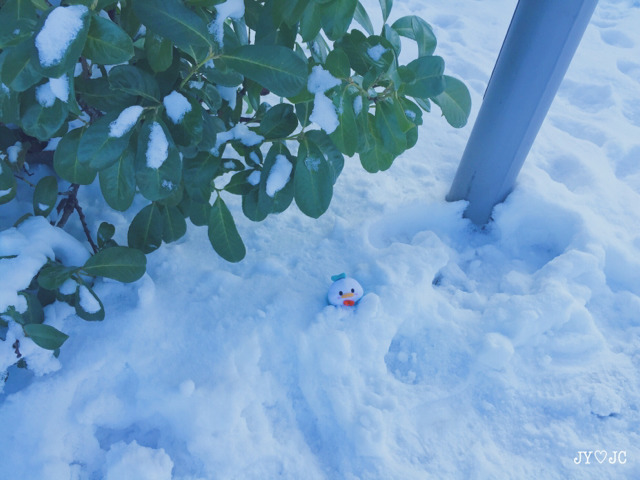 남자친구가 사준 인형과 여행다녀온 여자친구2.jpg | 인스티즈