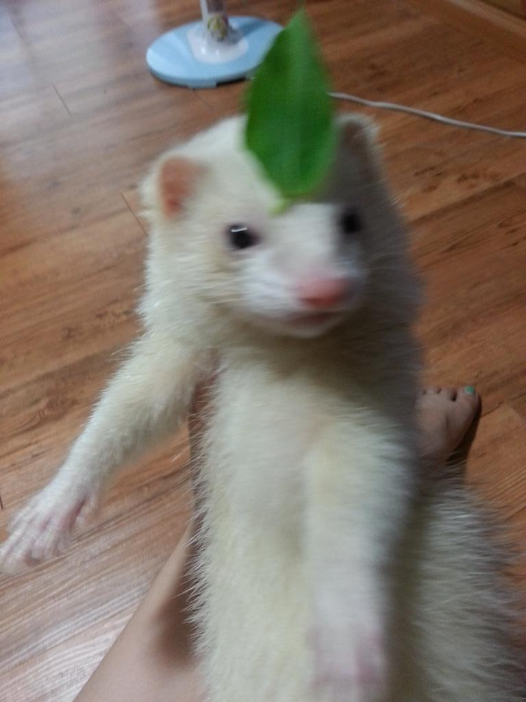 코스프레 | 인스티즈