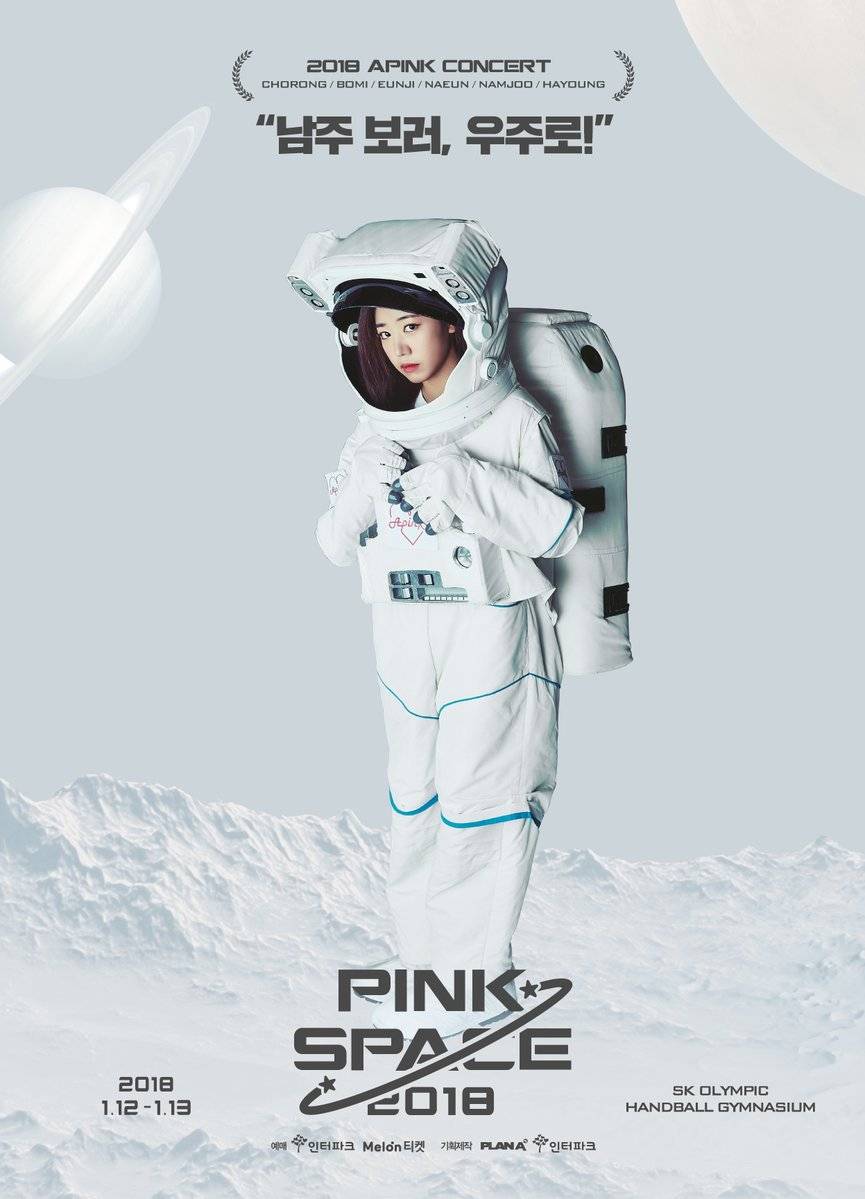 에이핑크 콘서트 포스터 | 인스티즈