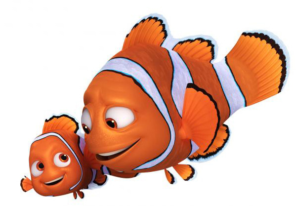 개인적으로 분양가 조절해야한다 생각하는 동물 | 인스티즈