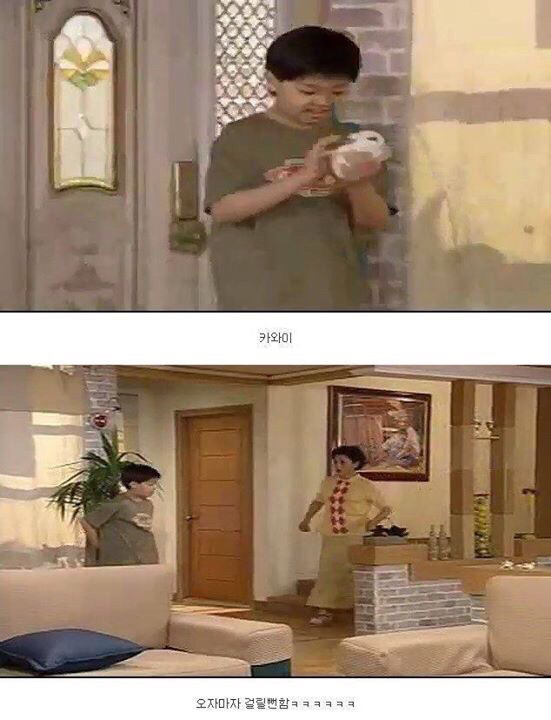 다시보는 레전드 토끼사건 | 인스티즈