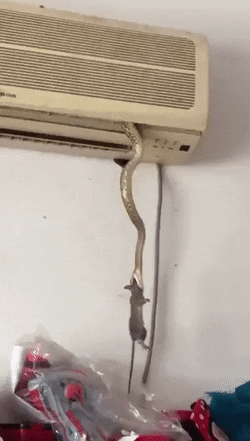 중국의 에어컨 신기능 클라스 | 인스티즈