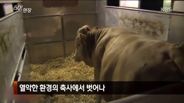 감사함을 아는 동물 | 인스티즈