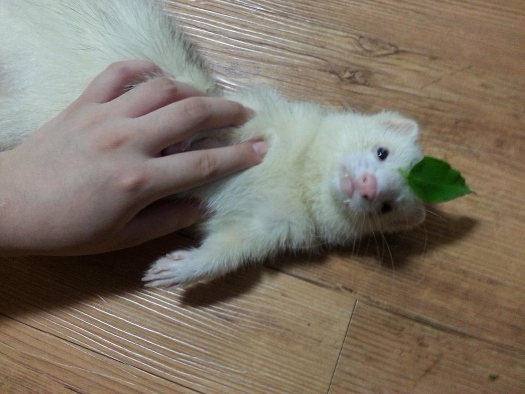 코스프레 | 인스티즈