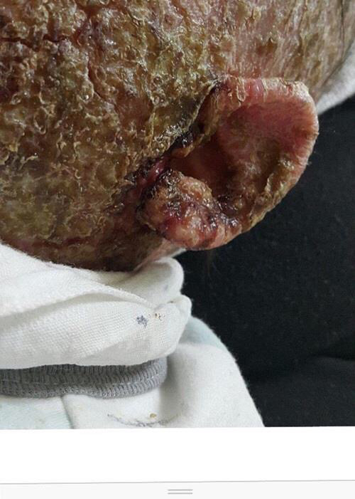 혐주의/ 안아키가 뭔지 아직 모르는 사람들 다 들어와봐.. 이거 생각보다 심각한 사회문제임 | 인스티즈